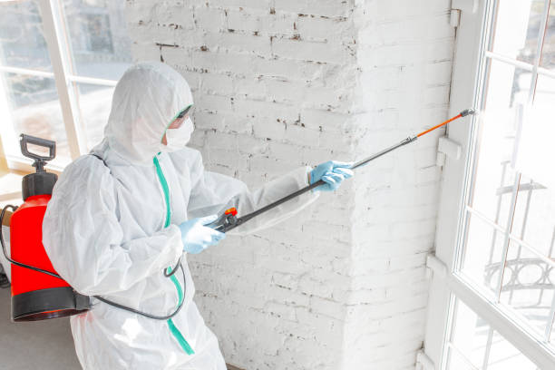 Best Commercial Mold Inspection  in Hauppauge, NY